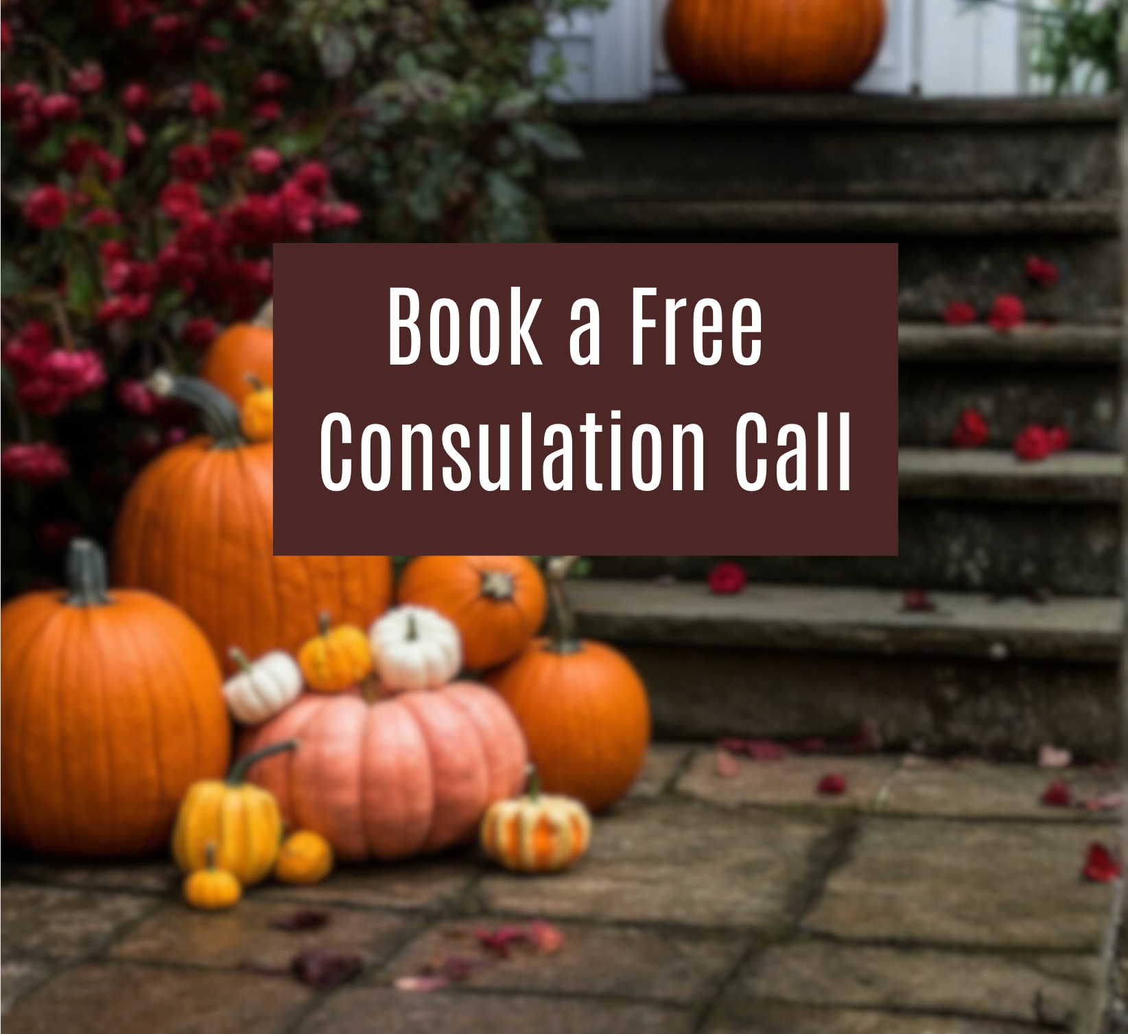 Free Consultation